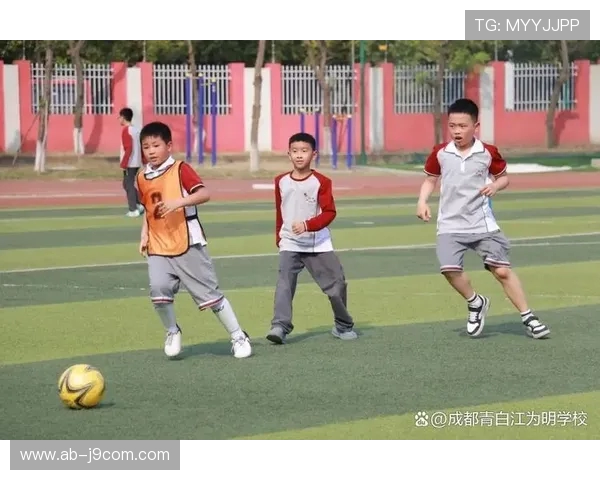 小孩足球场上的趣味对决,孩子们的欢笑与足球的快乐碰撞 小孩足球场上的趣味对决,孩子们的欢笑与足球的快乐碰撞